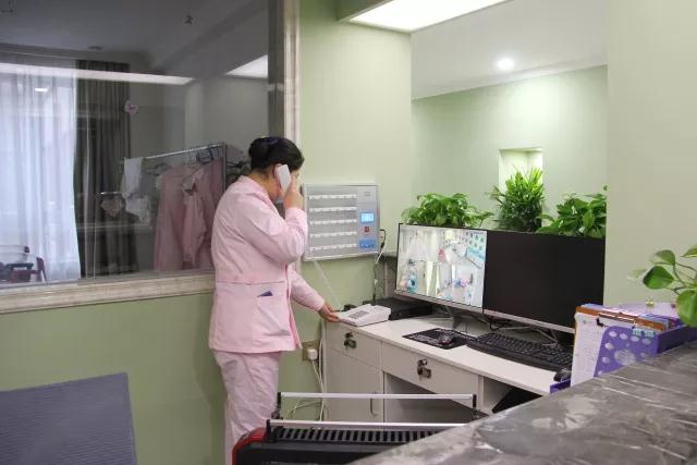 專業照顧